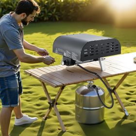 12' Outdoor Pizza Oven Portable Gas Oven Iron Spray  For Camping (Option: BLACK)